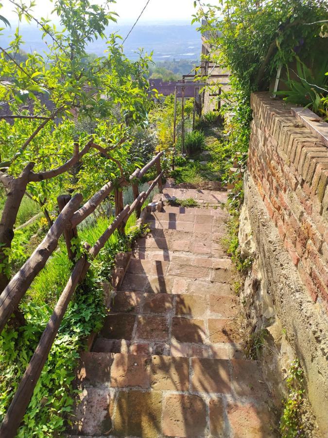 Casa Mantel Holiday Home Panoramic View In Langhe Novello Bagian luar foto